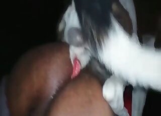 That opening is just ideal for canine peen