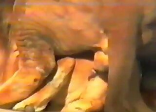 Hot GF enjoying fucking with a sexy-ass lion