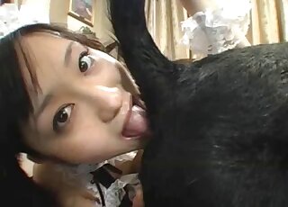 Pleasurable encounter with a sexy Asian chick