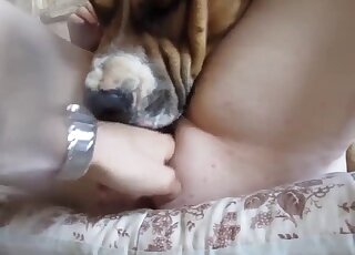 Dirty animal enjoys hardcore oral with a zoophile