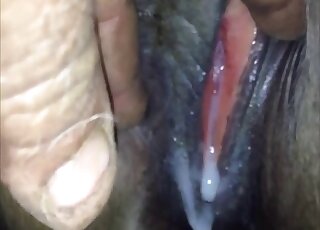 Close-up zoophilic scene to make mare orgasm - 種馬 アニマルポータルサイト 
