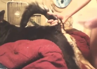 Dude possessed fucking that animal's hole