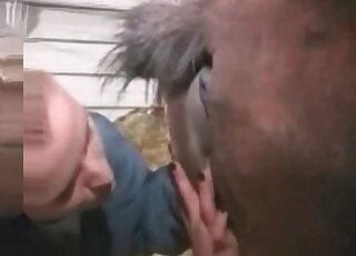 Ass fucking session with a stallion