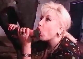 Stallion cock gets some loving