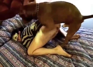 Zoophile porn with a vacationing lady taking it