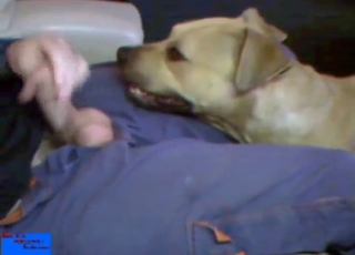 Zoo XXX shows a guy fucking a sexy animal