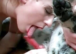 Amateur zoophiles are definitely enjoying their animals
