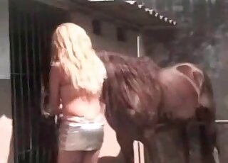 Stallion cock adores careful hands