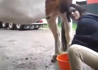 Bestiality porn with a brunette teen and horse