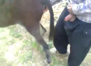 Dude gets crazy horny with that donkey cunt