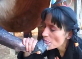 Horse-loving lady sucking off a hung stallion