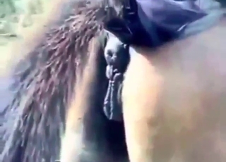 Hire this dude to fuck EVERY mule he can find