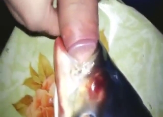 Sexy fish is going to get fucked orally today