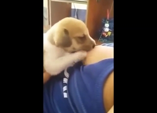 Hot zoophile lets this dog drink her breast milk