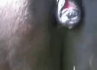 Mare's cunt is going to get fingered real hard