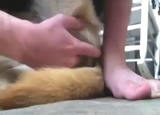 You just gotta enjoy fingering with a slutty dog