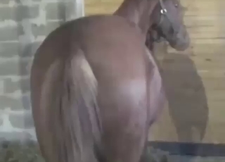 Mare is going to get fucked so, so hard eventually