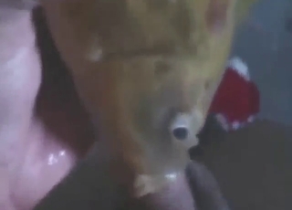 Great oral session with a fish sucking dick hard