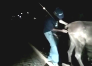 Unforgettable mare pussy fuck scene set outside