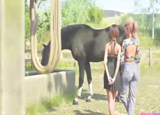 Horse boner pleasure with a hot blonde teen
