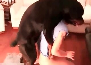 Lovely dog seduced a slim slut