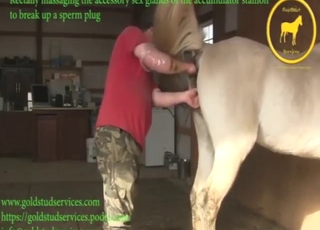 Dude fisting the living hella outta this animal