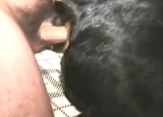 Dude has a great ass and a sexy dog to fuck