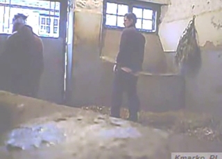 Stallion with a huge dick wants to fuck a guy