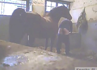 Stallion with a huge dick wants to fuck a guy