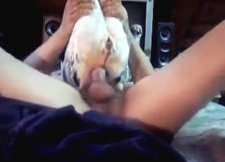 Anal fuck for a tiny dog that seems to love it
