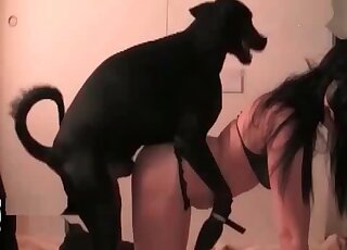 Amazing black dog fucked her cunt so hard