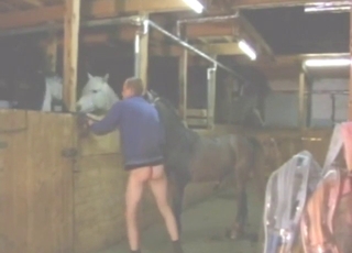 رجلٌ مُحبٌ للحيوانات يُمارس الجنس بعنفٍ شديدٍ مع حصانٍ ذكري.