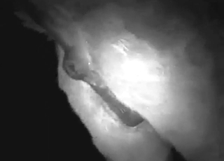 جولة سيطرة شرجية مع رجل شهواني