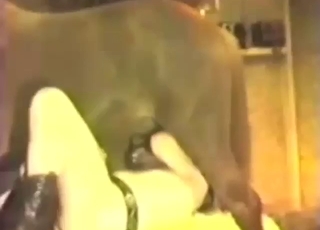 Dude drops everything to suck this stallion off