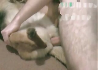 Dude violating his dog sideways