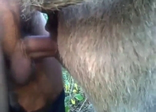 الرجل ذو الخصيتين الجميلتين هو وحش فاسق يمارس الجنس بعمق