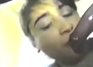 Dog cock looks super-yummy as brunette sucks it