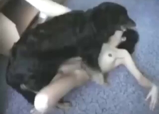 Hot brunette fucked into the floor by a dog