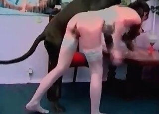Stunning big black dog pounds her crack
