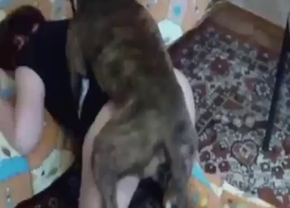 Brunette lady takes a dog's boner from behind