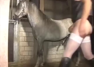 Stallion-themed zoo XXX with sex from behind