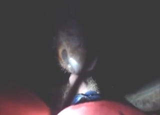 Bull worships that dick in a POV movie, so hard