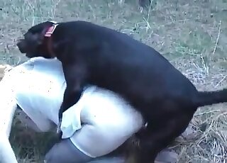 Horny pet enjoying MILF pussies