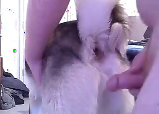 Dude shoves his cock up this animal's cunt