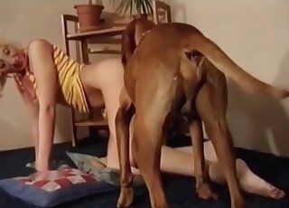 Tanned blonde seducing a hung dog