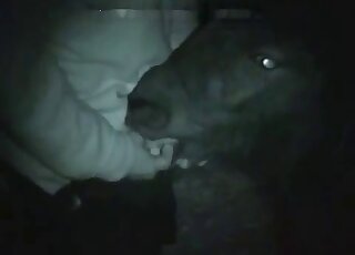 Amazing doggy style pound session with stallion