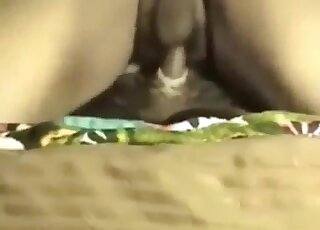 Black animal is enjoying brutal bestiality XXX so much