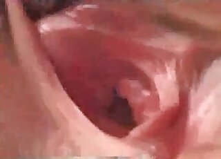 Amazingly huge stallion sausage