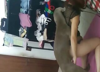 فتاة جميلة تمارس الجنس مع كلبها المثير للإعجاب أمام الكاميرا