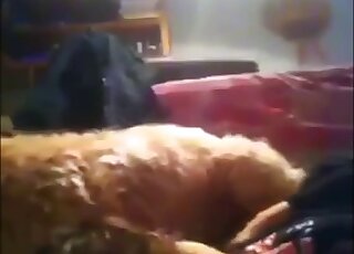 A kinky animal in the awesome amateur bestiality XXX